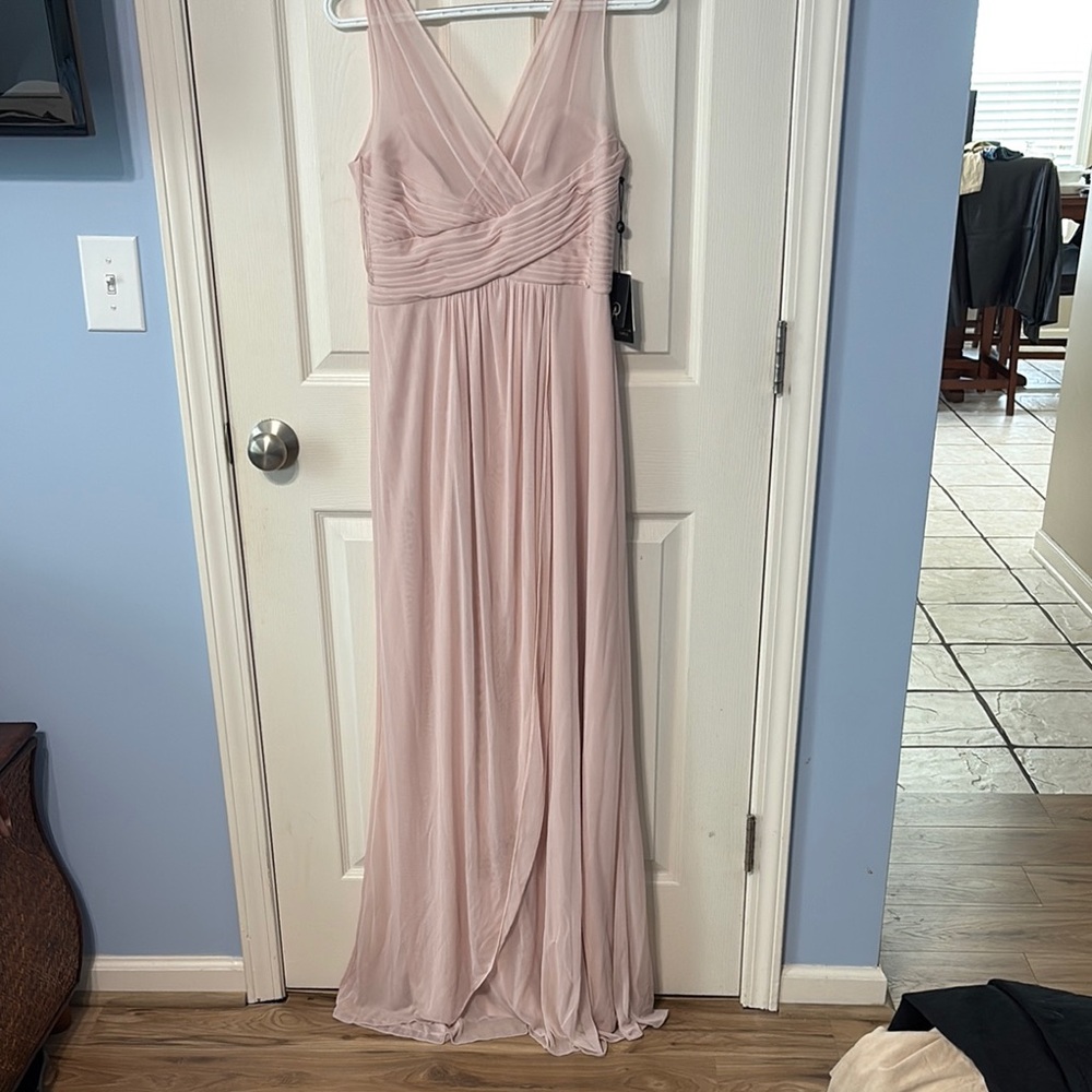 Adrianna Papell Blush Formal Dress